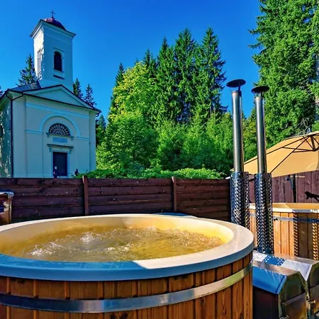 Dzban Hotel Karlova Studánka