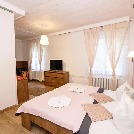 Hotel Dzban 3*
