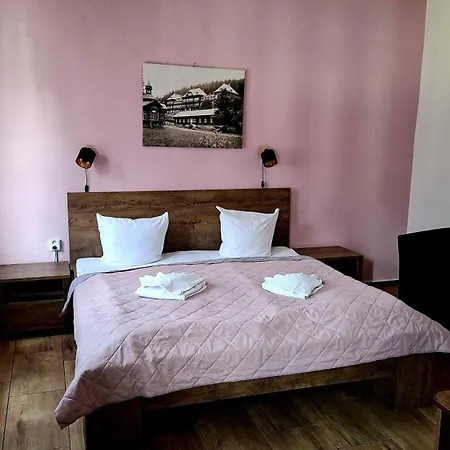 Dzban Hotel Karlova Studánka
