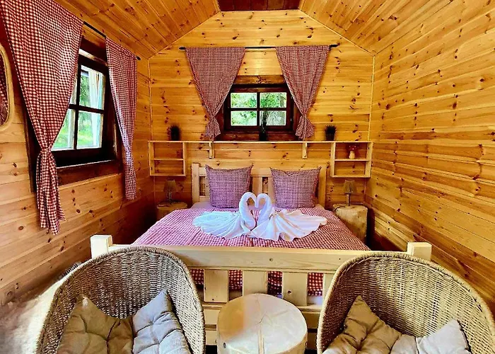 Отель Dzban